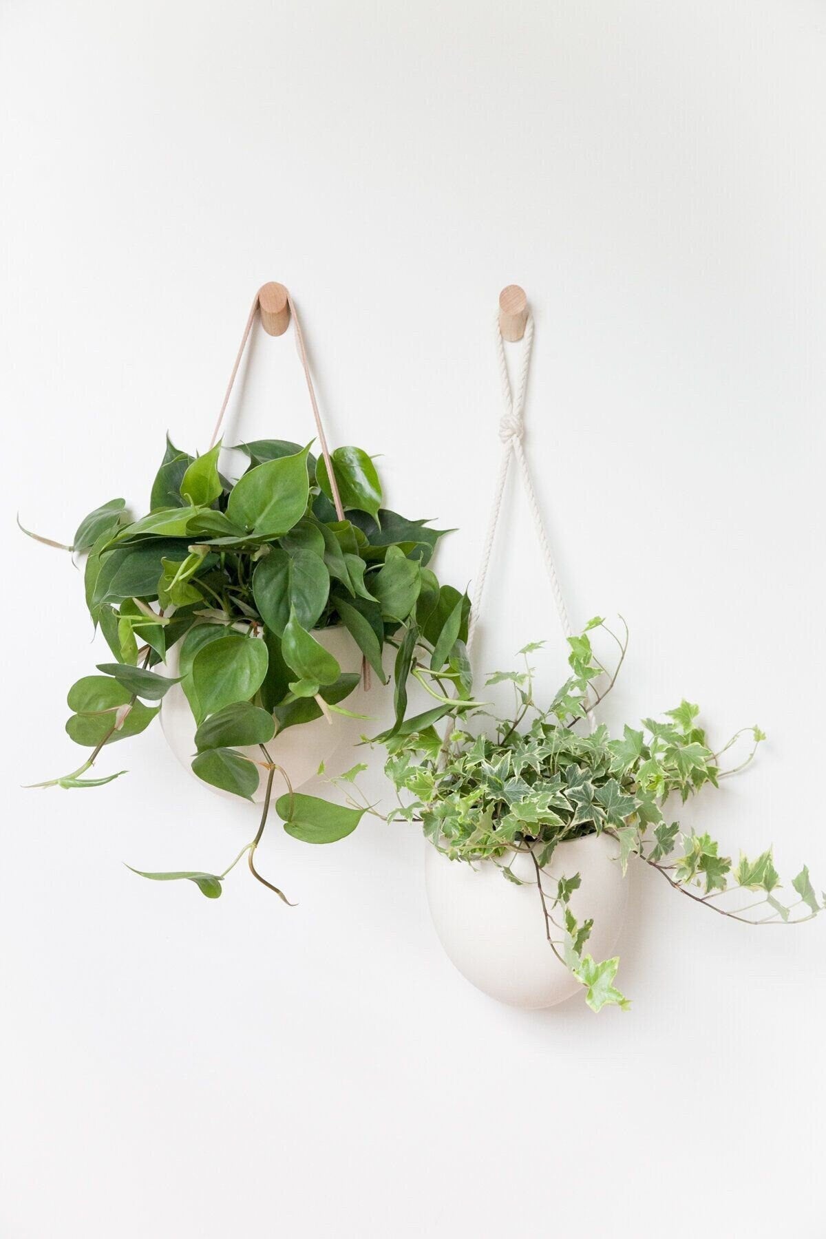 wall hook hanging plant Minimalist Wall Plant Hook